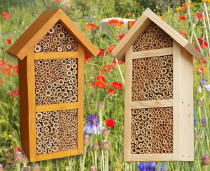 3zimmer-natur-thumb-1218