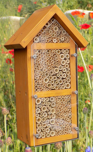 3zimmer-kiefer-vogelschutz-01-kl