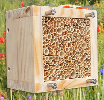 wildbienen-nistblock-mit-vogelschutz-kl