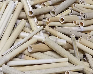 nist-brut-huelsen-wildbienen-insekten-reet_thumb